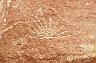 Fremont Petroglyph on Capitol Reef Gorge Trail
