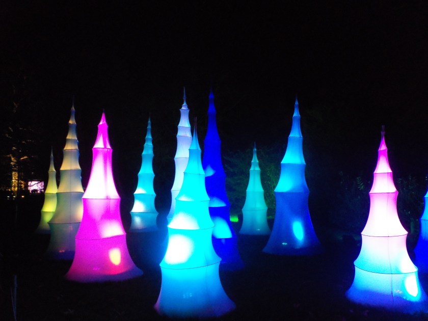 Kew Christmas lights